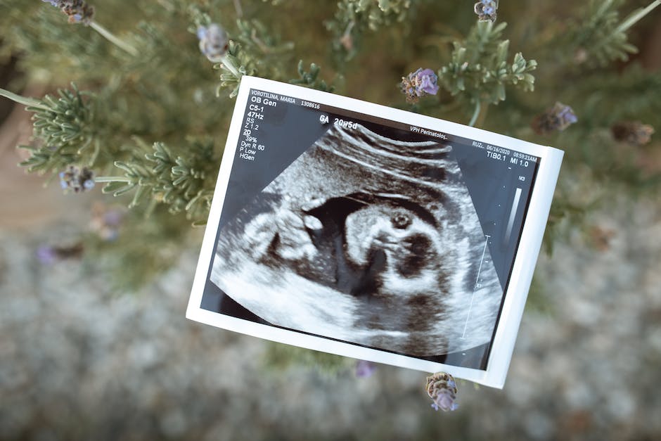  Ultraschallbefund während der Schwangerschaft