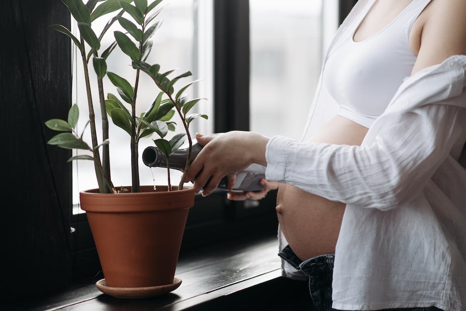 Bild eines Babys in der Gebärmutter